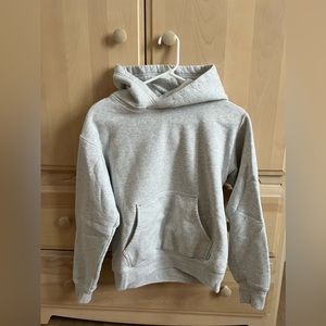 Aritzia Hoodie